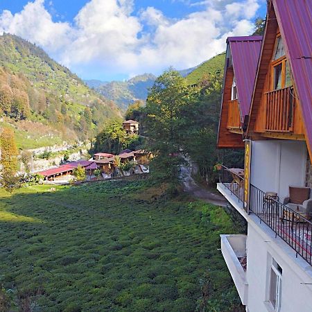 فيلا Naturel Apart Bungalow Çamlıhemşin المظهر الخارجي الصورة