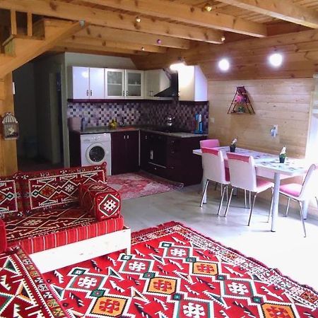 فيلا Naturel Apart Bungalow Çamlıhemşin المظهر الخارجي الصورة