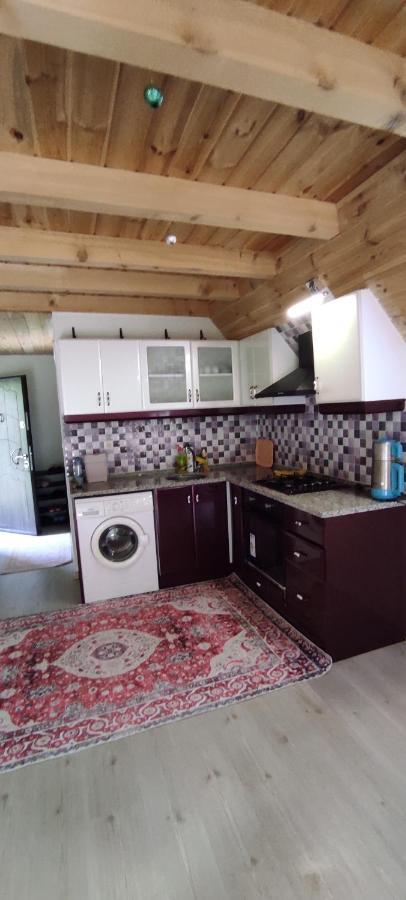 فيلا Naturel Apart Bungalow Çamlıhemşin المظهر الخارجي الصورة