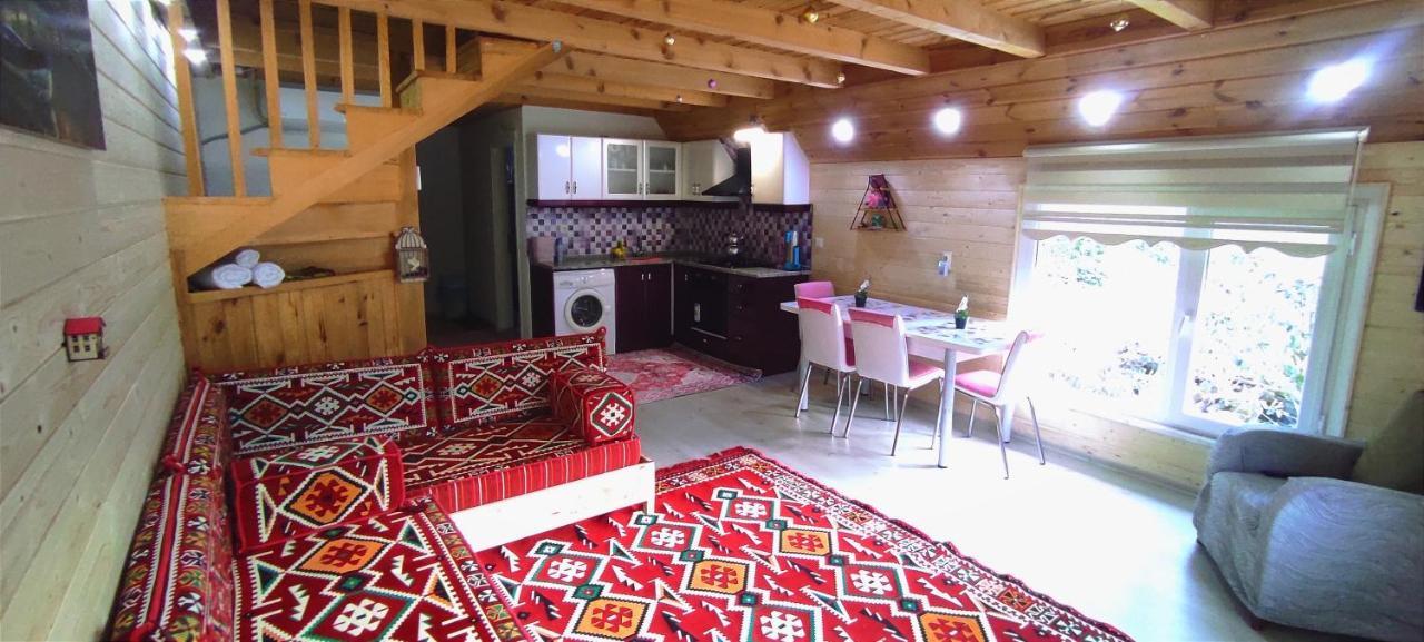 فيلا Naturel Apart Bungalow Çamlıhemşin المظهر الخارجي الصورة