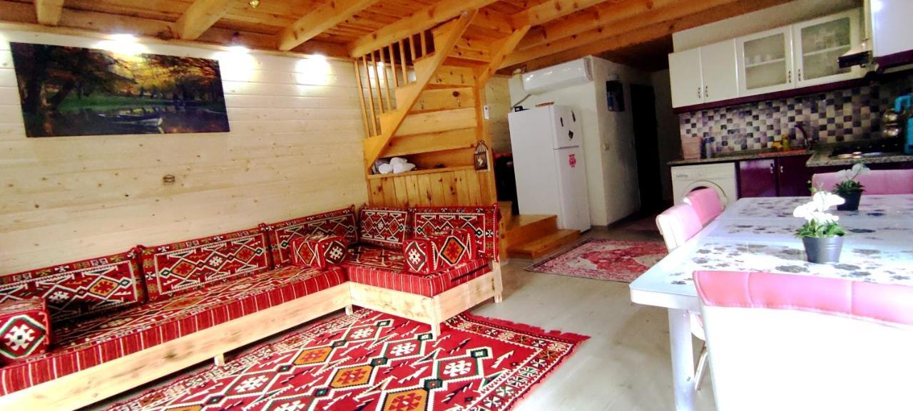 فيلا Naturel Apart Bungalow Çamlıhemşin المظهر الخارجي الصورة