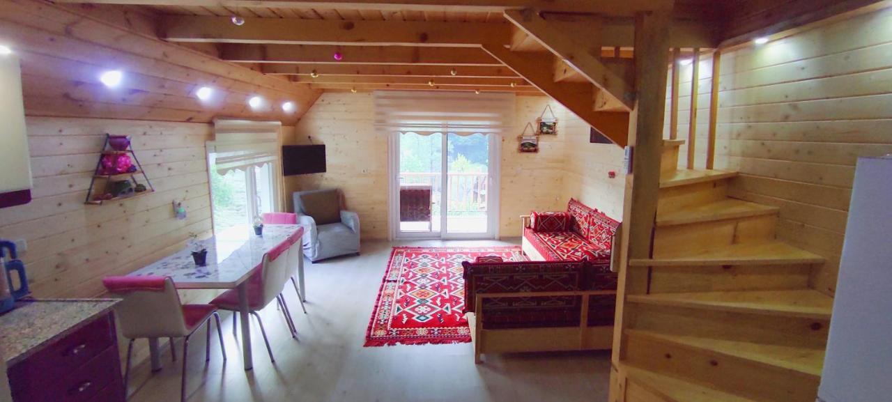 فيلا Naturel Apart Bungalow Çamlıhemşin المظهر الخارجي الصورة